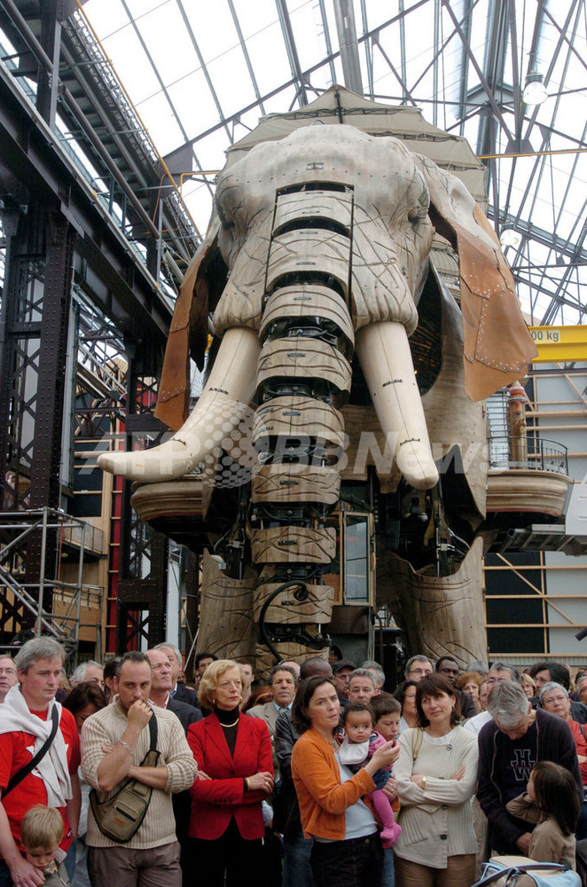 img_da16d2dd6cf18f05b7c97a65ce