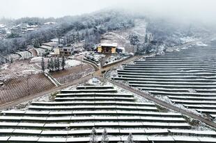 2024年の世界の再生エネ新設容量、過去最高 けん引役は中国 報告書