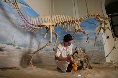 約1億1000万年前の恐竜に思いをはせる