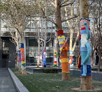 北京の街路樹が「セーター」を着用、そのユニークさで話題沸騰