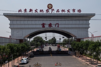 北京集団感染のウイルスは「古い欧州株」？ 中国、ゲノム情報を公開