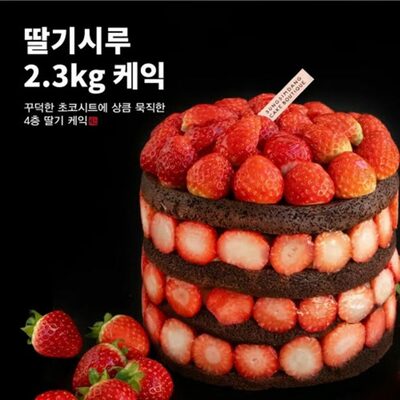 イチゴ1箱使用、圧倒的な映え…韓国・有名ベーカリーのXマスケーキ、今年も「オープンラン」？