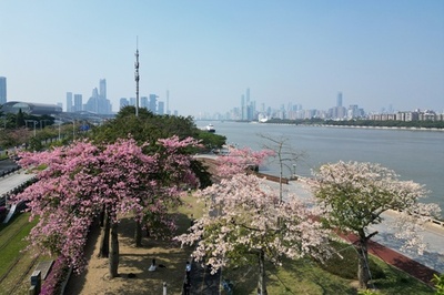 「外国人材が魅力を感じる中国都市」トップ20発表