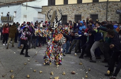 スペインのカブ投げ祭り「ハランプラ」