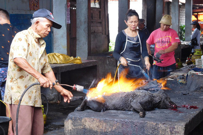 路上で犬を撲殺、バーナーで丸焼きに インドネシア市場の動画が物議