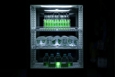 やくしまるえつこが日本人初のグランプリ！ メディアアート界のオスカー