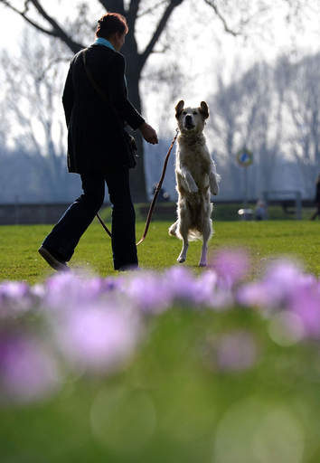 春が来た、花咲き乱れるドイツの公園