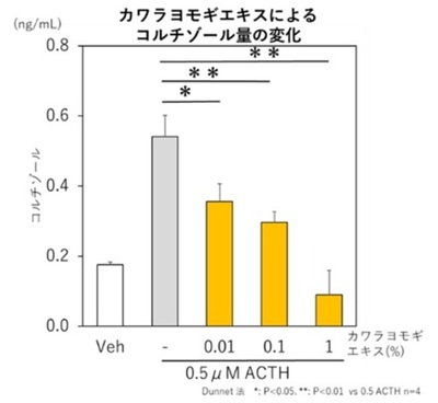 カワラヨモギエキスがストレスによる皮膚バリア機能低下を抑制。「第3回日本化粧品技術者会学術大会」にて最新研究成果を口頭発表