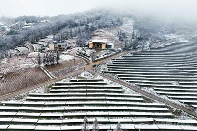2024年の世界の再生エネ新設容量、過去最高 けん引役は中国 報告書