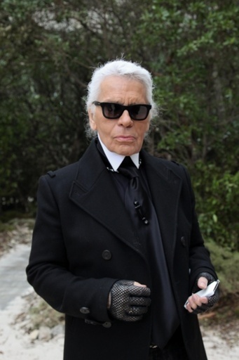 カール・ラガーフェルド、ミシェル夫人の髪型を批評