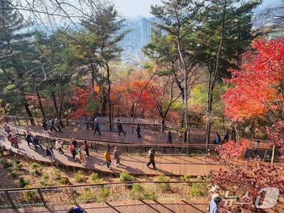 ソウル・南山「空の森の道」…開放1カ月で累計来訪者9万人突破
