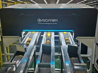 韓国ロッテマート・スーパー、AIが選別したスイカ・マクワウリ販売