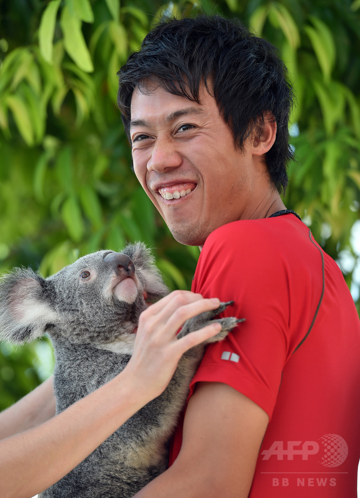 ブリスベーン国際出場の錦織がコアラとたわむれる