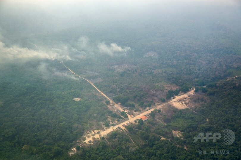アマゾンで大森林火災、2か月延焼 違法伐採業者が放火か