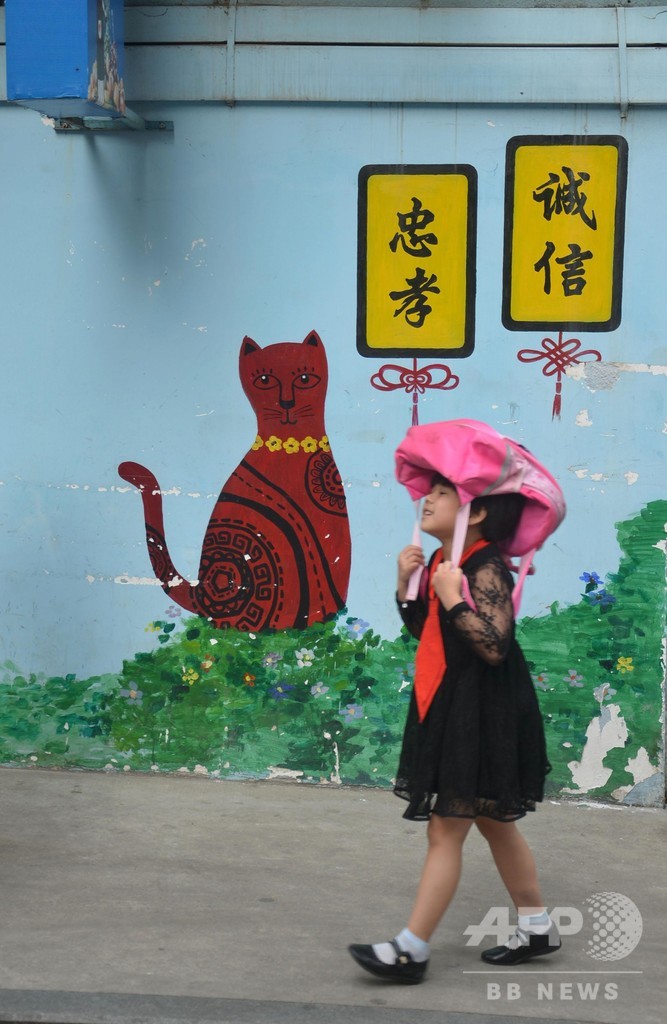 アモイの「猫街」へいらっしゃい