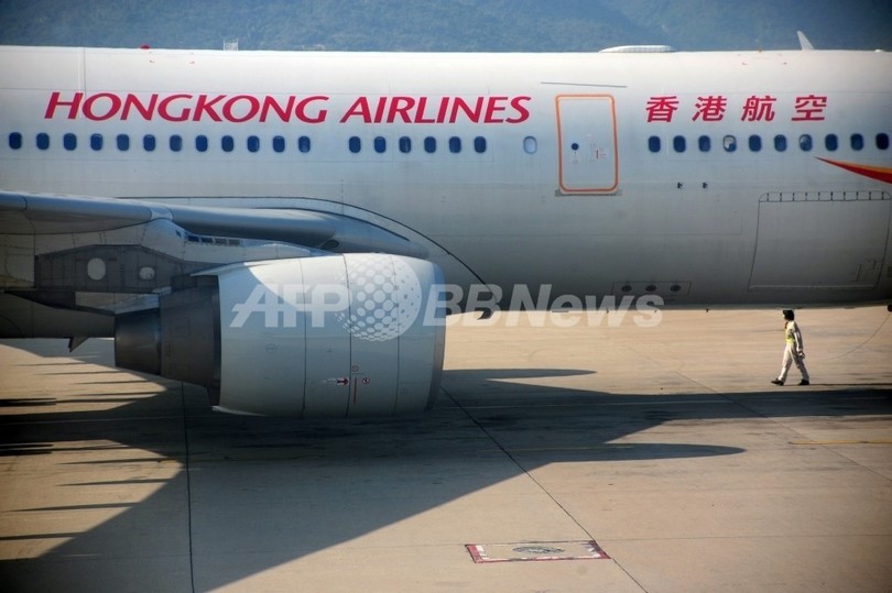 日本からイルカを貨物便で空輸、香港航空に批判集まる 日本からイルカを貨物便で空輸、香港航空に批判集まる