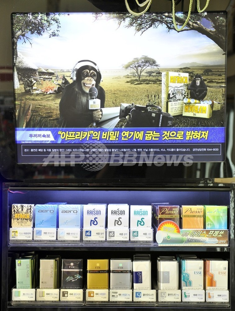 韓国たばこ ディス アフリカ チンパンジー採用の広告を中止 写真4枚 国際ニュース Afpbb News