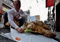 東京・月島の路上で亀のボンちゃんにキャベツをを与える飼い主の三谷久夫さん（2015年6月10日撮影）。(c)AFP/KAZUHIRO NOGI