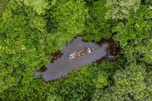 アフリカ・ベナンの希少な湿地林「消滅の危機」