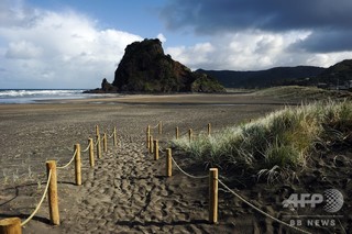 「ブタにも劣る」英国人観光客、不品行で国外退去の危機 NZ 「ブタにも劣る」英国人観光客、不品行で国外退去の危機 NZ