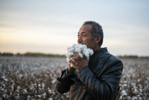 綿花の機械化栽培・収穫で農作業の効率と品質が向上 新疆ウイグル ...