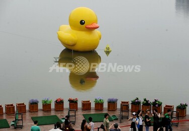 中国共産党機関紙、「偽の巨大アヒル」出現を批判 写真1枚 国際
