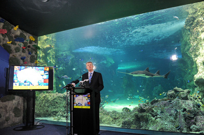 豪州、世界最大の海洋保護網を設置