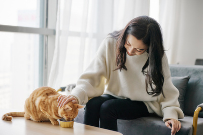 春節連休で訪問ペットシッターが人気 日当2万円超