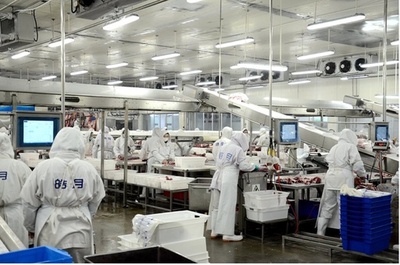 デジタルで活性化した畜産業に大きな将来性