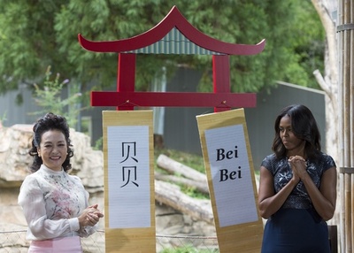 米中首脳夫人、赤ちゃんパンダに「ベイベイ」と命名