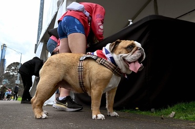 豪でも英女王追悼 ちなんだ名前持つ犬も「弔問」