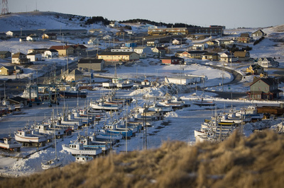 カナダ東部で小型機が墜落、元運輸相ら7人死亡