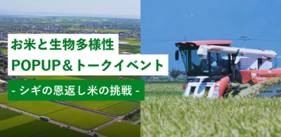 3月14・15日AKOMEYA TOKYOで開催！「お米と生物多様性POPUP＆トークイベント～シギの恩返し米の挑戦～」
