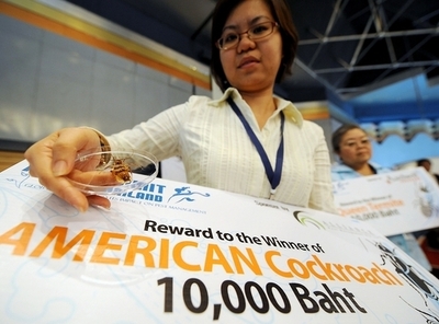 害虫も気候変動の一因、国際会議参加で駆除業者が見解