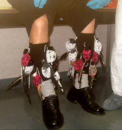 両足に小鳥10羽くくりつけて密輸、大胆手口の男を起訴 米国