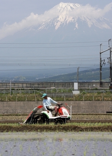 農水省、小麦高騰で米粉増産を支援へ