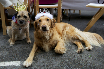 エリザベス女王即位60年、祝賀行事始まる