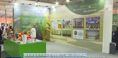 人工林面積が世界首位 中国は世界で新規緑化面積が最大の国に