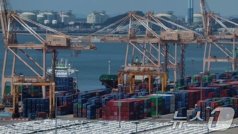 京畿道平沢港で船積みを待つ輸出用コンテナと車両＝8月11日(c)news1