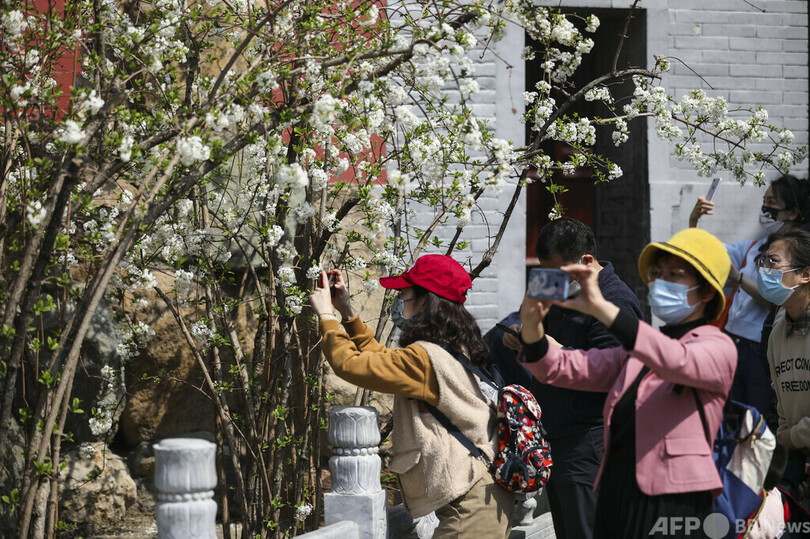 中国・清明節連休で7541万人が旅行 観光収入は3729億円