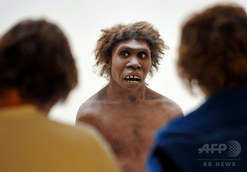 ネアンデルタール人女性 遺伝子に近親交配の痕跡なし 分析 写真1枚 国際ニュース Afpbb News