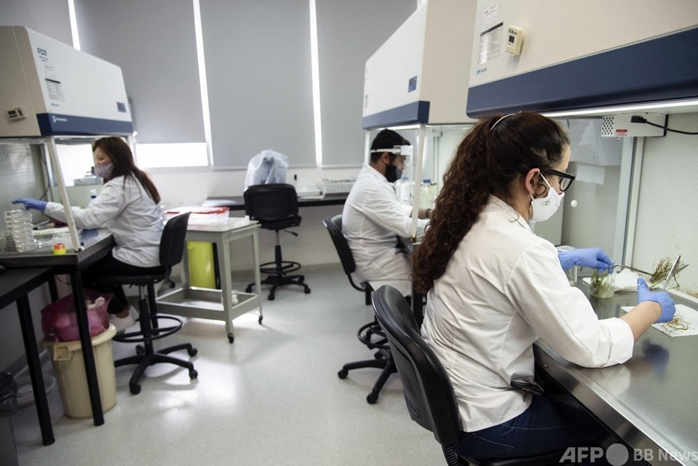 科学分野の男女格差、富裕国で顕著 ユネスコ報告書 写真1枚 国際ニュース:AFPBB News