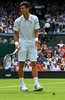 テニス、ウィンブルドン選手権、男子シングルス1回戦。試合中に飛んできた小鳥を追い払うノバク・ジョコビッチ（2015年6月29日撮影）。(c)AFP/GLYN KIRK