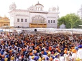 インド北部アムリツァル（Amritsar）にあるシーク教の総本山「黄金寺院（Golden Temple）」に集まったシーク教徒たち（2014年6月6日撮影）。(c)AFP/NARINDER NANU