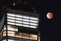米ニューヨークで観測された部分月食（2021年11月19日撮影）。(c)Yuki IWAMURA / AFP