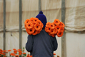 2008年2月13日、イスラエル中部のKfar-Hessにある温室で、ガーベラの花を抱えるタイ人労働者。(c)AFP/YEHUDA RAIZNER