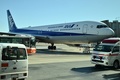 新型コロナウイルス流行の中心となっている中国の武漢から日本人を乗せて羽田空港に到着したチャーター機の第1便（2020年1月29日撮影）。(c)CHARLY TRIBALLEAU / AFP