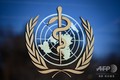 スイス・ジュネーブの世界保健機関（WHO）本部に掲げられた標章（2020年2月24日撮影）。(c)Fabrice COFFRINI / AFP
