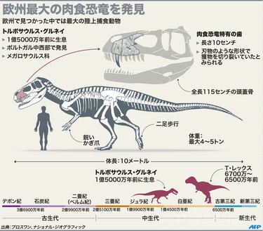 特大　本物　大型肉食恐竜の糞の化石　多彩　メノウ化　標本　1866グラム 欧州最大の肉食恐竜、ポルトガルで化石発見 写真1枚 国際ニュース