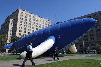 クジラ保護区設置求め、チリ大統領府前でデモ